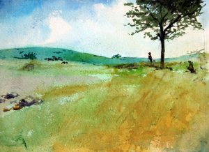 Field