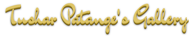 Tushar Patange